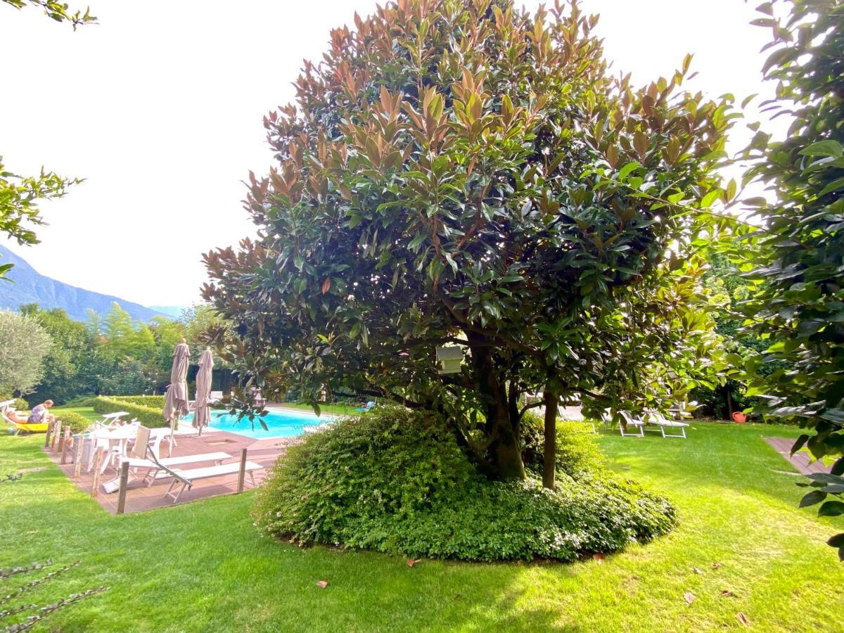 Abies Lago Di Como Dongo Exterior foto